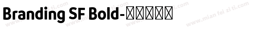 Branding SF Bold字体转换
